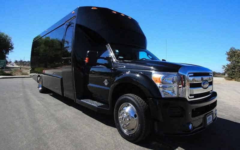 Richardson 30 Passenger Party Bus Black